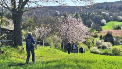 Foto des Albums: Rund um Wildsachsen
