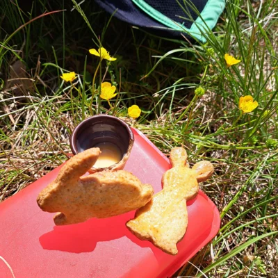 Foto des Albums: Wilhelmsbad Hochstadt