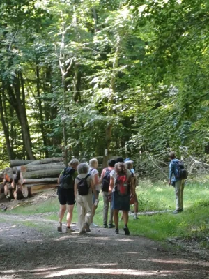 Foto des Albums: Pferdskopf und Weißer Stein