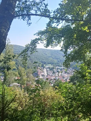Foto des Albums: Pferdskopf und Weißer Stein