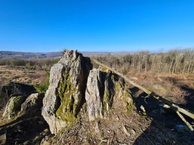 Foto des Albums: Bembelweg Niedernhausen