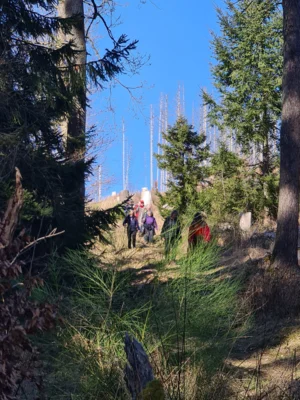 Foto des Albums: Bembelweg Niedernhausen