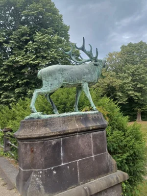 Foto des Albums: Lennebergwald bei Budenheim
