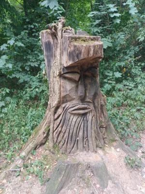 Foto des Albums: Lennebergwald bei Budenheim