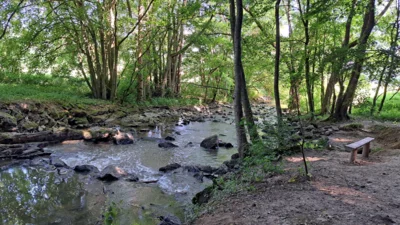 Foto des Albums: Sprudelweg in Burgschwalbach