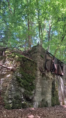 Foto des Albums: Sprudelweg in Burgschwalbach