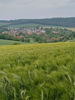 Foto des Albums: Ronneburg