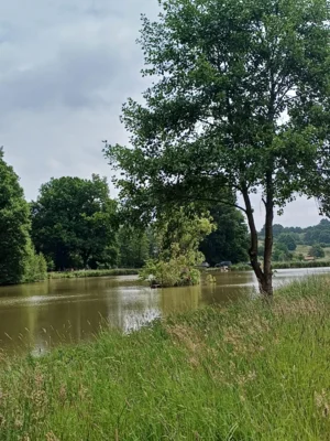 Foto des Albums: Ronneburg