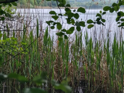 Foto des Albums: Westerwald - 7 Weihertour
