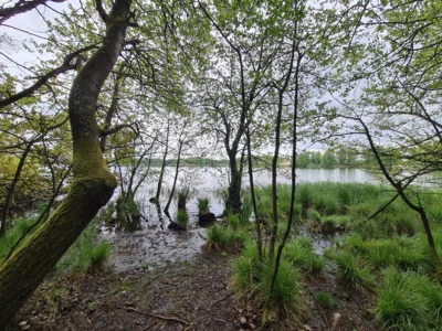 Foto des Albums: Westerwald - 7 Weihertour