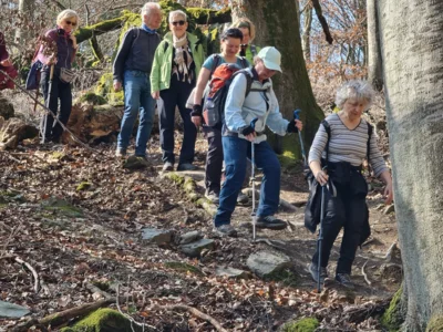 Foto des Albums: Jagdschloss Platte und Sichtertal