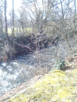Foto des Albums: Senioren Frühstück in Kriftel