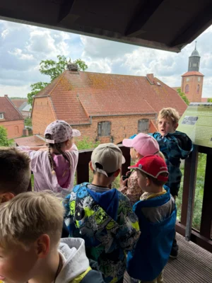 Foto des Albums: Zu Besuch im Storchenland