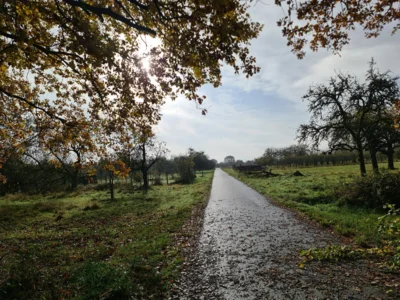 Foto des Albums: Auringen