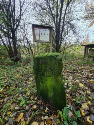 Foto des Albums: Auringen