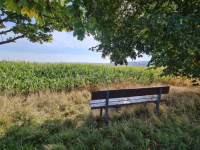 Foto des Albums: Limburg-Diez-Runde