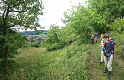 Foto des Albums: Wanderreise Taubertal