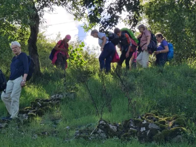 Foto des Albums: Wanderreise Taubertal