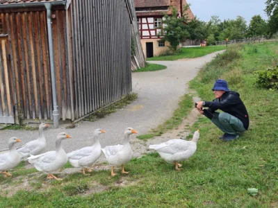 Foto des Albums: Wanderreise Taubertal