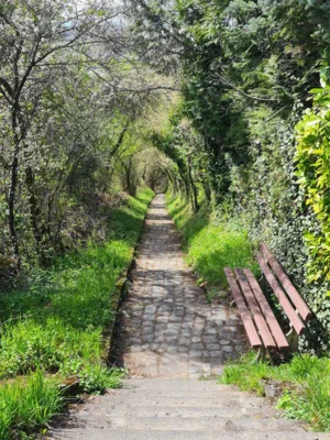 Foto des Albums: Blütenweg Heppenheim