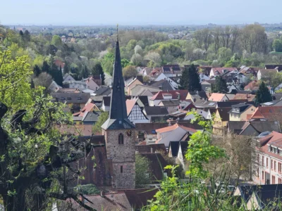 Foto des Albums: Blütenweg Heppenheim