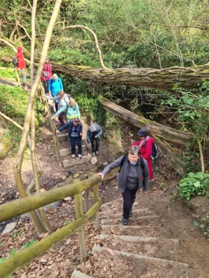 Foto des Albums: Blütenweg Heppenheim