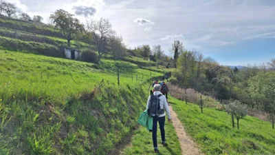 Foto des Albums: Blütenweg Heppenheim