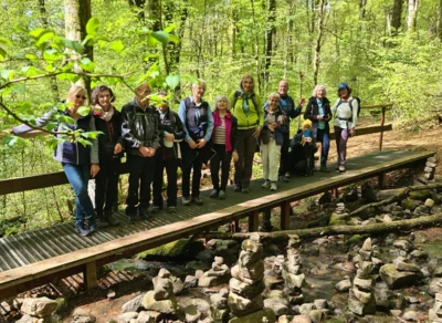 Foto des Albums: Holzbachschlucht