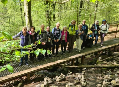 Foto des Albums: Holzbachschlucht
