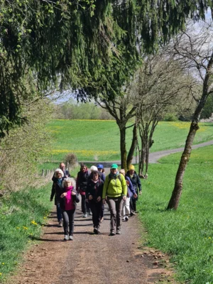 Foto des Albums: Holzbachschlucht