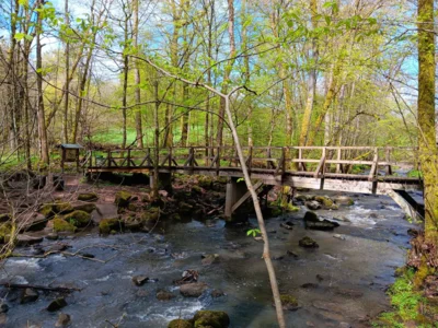 Foto des Albums: Holzbachschlucht