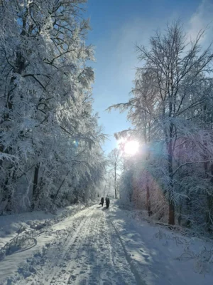Foto des Albums: Feldberg und Kittelhütte