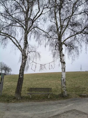 Foto des Albums: Idstein
