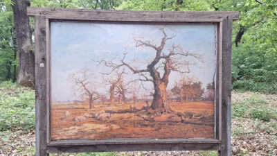 Foto des Albums: Schwanheimer Wald