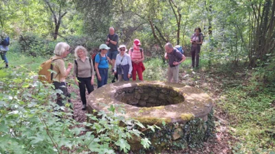 Foto des Albums: Schwanheimer Wald