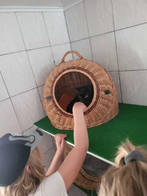 Foto des Albums: Wandertag Tierheim Schmölln Klasse 2
