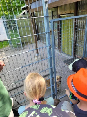 Foto des Albums: Wandertag Tierheim Schmölln Klasse 2