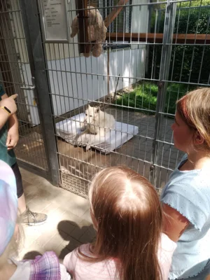 Foto des Albums: Wandertag Tierheim Schmölln Klasse 2