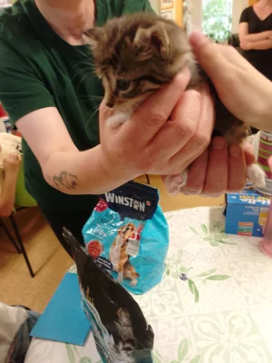 Foto des Albums: Wandertag Tierheim Schmölln Klasse 2