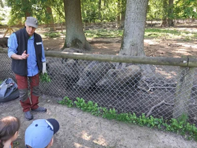 Foto des Albums: Wisentgehege Springe 2b