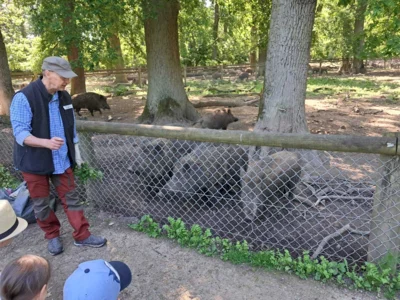 Foto des Albums: Wisentgehege Springe 2b