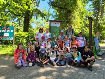 Foto des Albums: Wisentgehege Springe 2b
