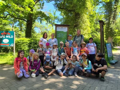 Foto des Albums: Wisentgehege Springe 2b