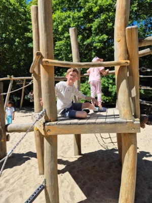 Foto des Albums: Wisentgehege Springe 2b