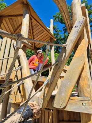 Foto des Albums: Wisentgehege Springe 2b