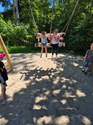 Foto des Albums: Wisentgehege Springe 2b