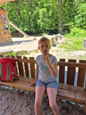Foto des Albums: Wisentgehege Springe 2b