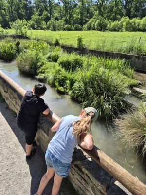 Foto des Albums: Wisentgehege Springe 2b