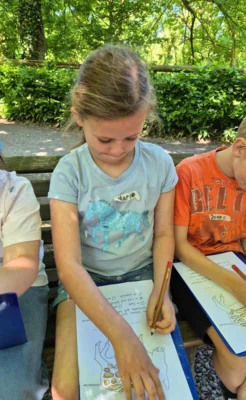 Foto des Albums: Wisentgehege Springe 2b