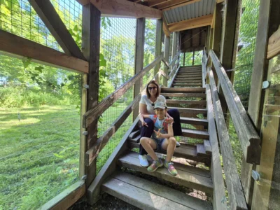 Foto des Albums: Wisentgehege Springe 2b